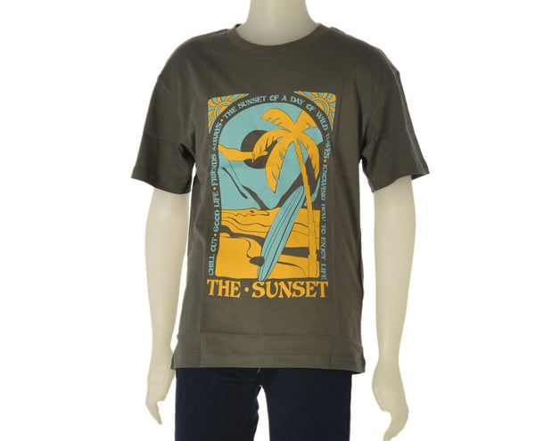 T-SHIRT RAGAZZO COTONE GIROCOLLO  LOSAN ART. LJBAP0103-25040