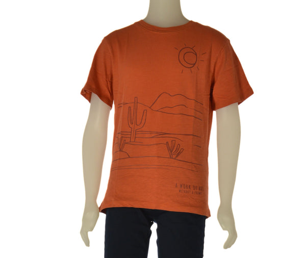 T-SHIRT RAGAZZO BAMBINO ZIPPY GIROCOLLO STAMPA COTONE ART. ZKBAP0303-26003