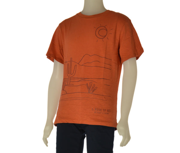 T-SHIRT RAGAZZO BAMBINO ZIPPY GIROCOLLO STAMPA COTONE ART. ZKBAP0303-26003