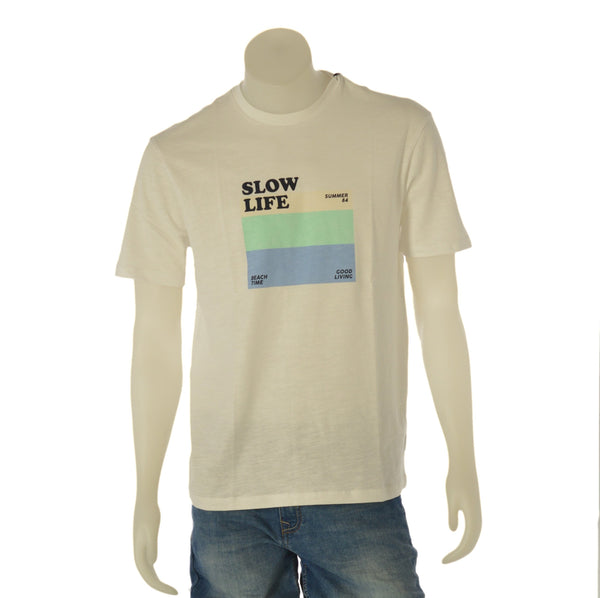 T-SHIRT UOMO RAGAZZO REGULAR FIT STAMPA MARCA GAS ART. ARNOUX A7114