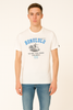 T-SHIRT UOMO RAGAZZO MANICA CORTA STAMPA MARCA AVIREX ART. AX0546