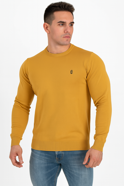 MAGLIONE UOMO RAGAZZO GIROCOLLO CASUAL VISCOSA COVERI ART.TR1720