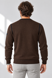 Vista posteriore del maglione marrone-3.png